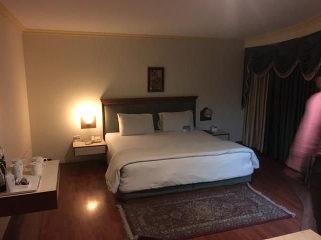 Shiva Oasis Resort Neemrana Pokój zdjęcie